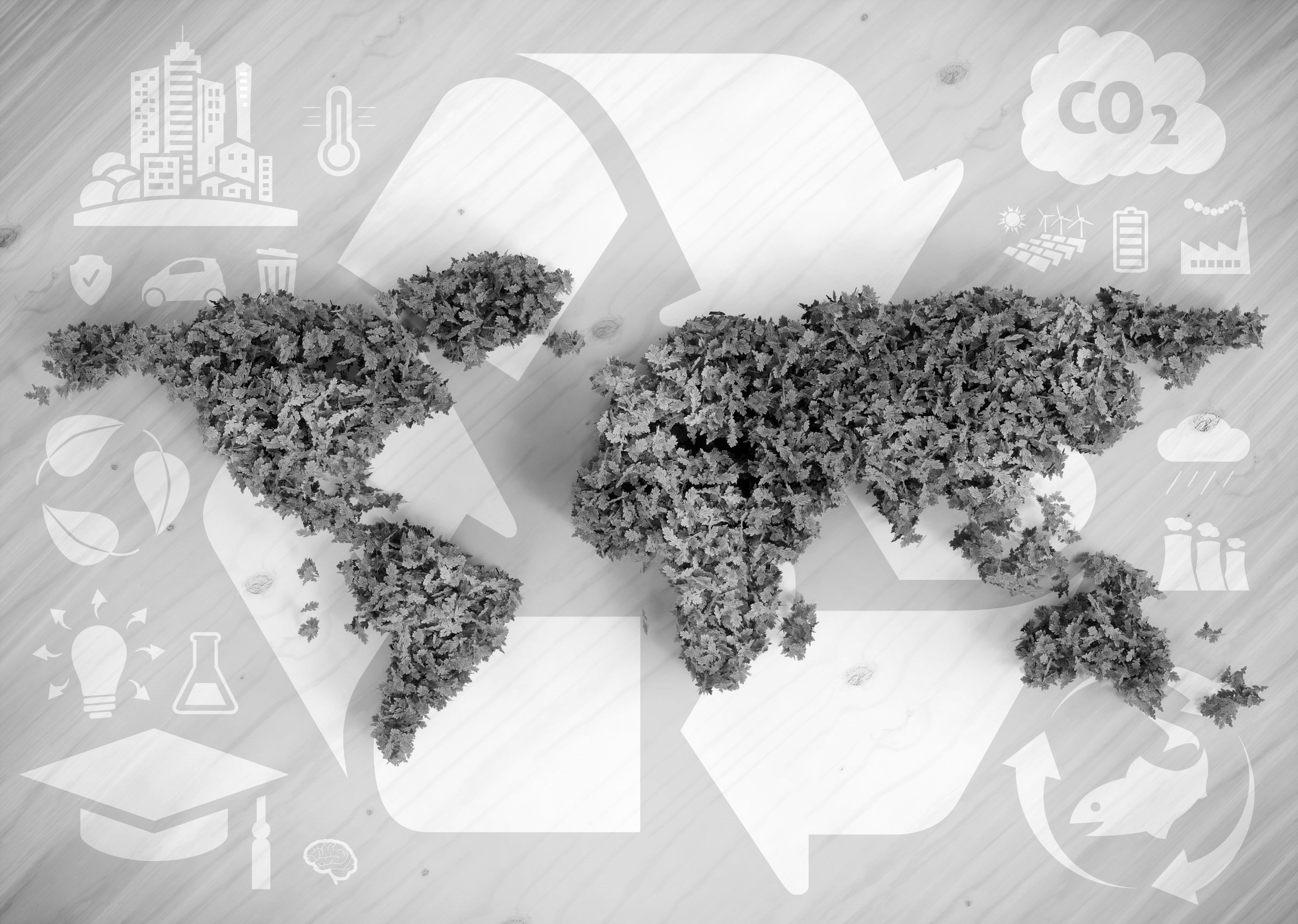 Sustainability and climate change are set to completely transform trade liberalisation and the globalisation landscape over the coming years; SMEs need to prepare for this.