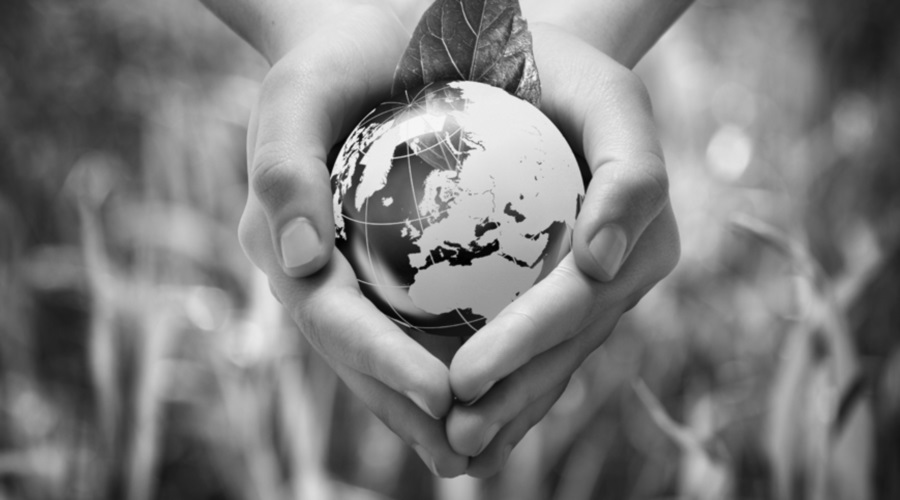 The UN's 17 Sustainable Development Goals (SDGs) provide SMEs with a best practice framework for safeguarding the environment, fostering global prosperity, leading innovation, and future-proofing growth.