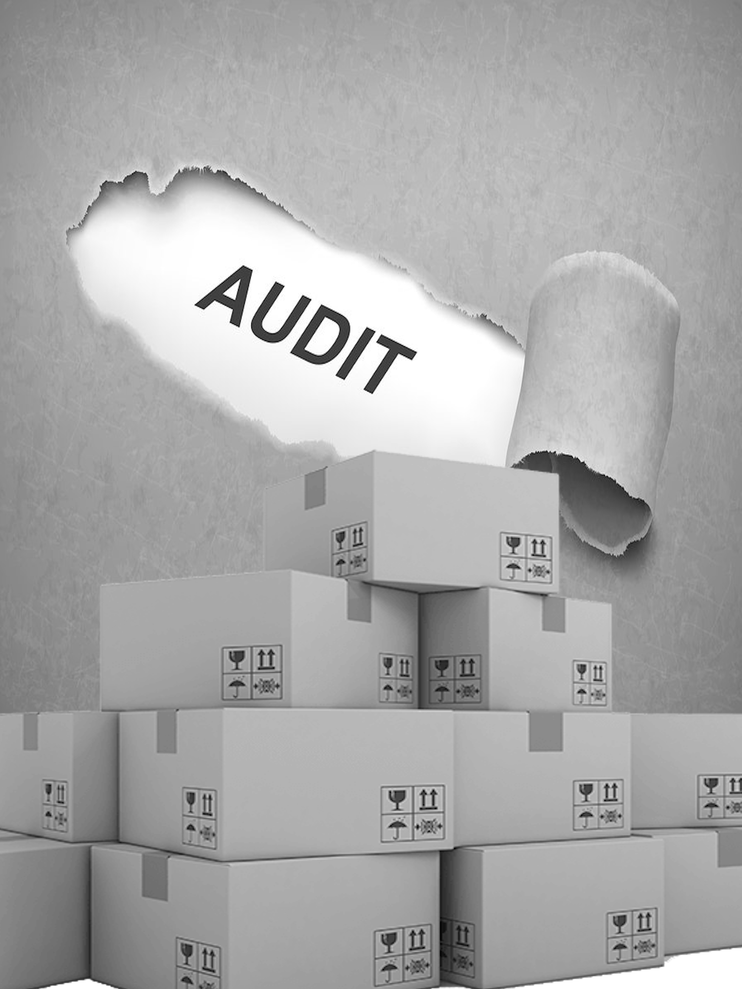 GTD Packaging Audit