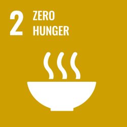 Eliminating subsidies that cause distortions in agriculture markets will lead to fairer more competitive markets helping both farmers and consumers while contributing to food security. The WTO’s 2015 decision on export competition eliminated export subsidies in agriculture, thereby delivering on Target 2.B of this goal.